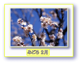 写真:梅 みごろ 2月