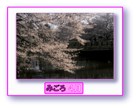 写真:サクラ みごろ 4月