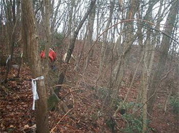 実施前の現場の写真