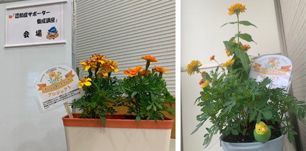 2022オレンジガーデニングプロジェクト 応募作品写真