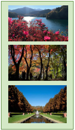 大学生等が撮影した写真　画像