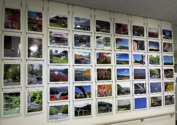 ユニコムプラザさがみはら　マルチスペース写真