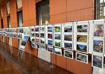 ミウィ橋本　5・6階インナーガーデン写真