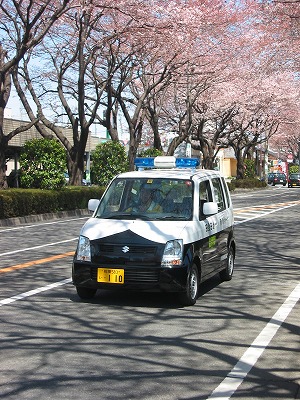 青パトカー(青色回転灯装備車両)