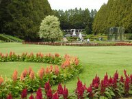 噴水広場（県立相模原公園）（2024年9月撮影）の拡大写真を表示