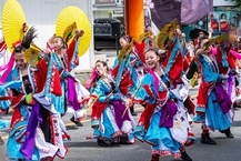 相模原よさこいRANBU!の拡大写真を表示