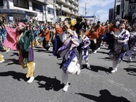 相模原よさこいRANBU! の拡大写真を表示