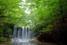 水沢川土砂止め堰堤の拡大写真を表示