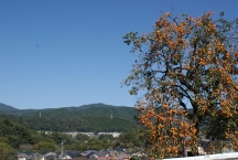 里の秋（緑区日連）の拡大写真を表示