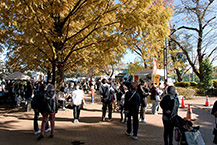 よこやまオータムフェスタ（横山公園）（2024年11月撮影）の拡大写真を表示