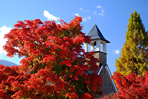 秋の鳥居原園地（紅葉）（2024年11月撮影）の拡大写真を表示