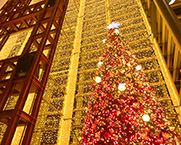 ミウィ橋本のクリスマスツリー（2024年11月撮影）の拡大写真を表示