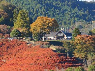 鳥居原ふれあいの館　対岸からの眺め（2025年11月分）の拡大写真を表示