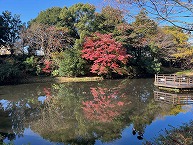 道保川公園の朝の風景（2025年11月分）の拡大写真を表示