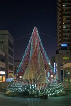 相模原ウィンター・イルミネーション with 宵の明星 (2024年12月撮影分)の拡大写真を表示