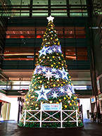 Star Wish Tree(相模大野ステーションスクエア)(2025年12月撮影分)の拡大写真を表示