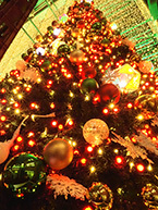 クリスマス イルミネーション(ミウィ橋本)(2025年12月撮影分)の拡大写真を表示