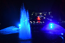 庭園の夜を彩る噴水ライトアップ2025(県立相模原公園)(2025年12月撮影分)の拡大写真を表示