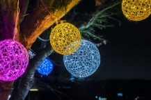 花の苑地の木に咲いていた光の花(津久井湖)(2025年12月撮影分)の拡大写真を表示