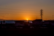 木もれびの森の脇から見える「初日の出」（2026年1月撮影分）の拡大写真を表示