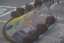 大花壇（相模原麻溝公園）（2026年1月撮影分）の拡大写真を表示