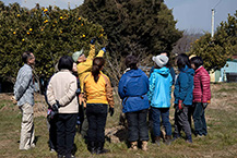 小倉の畑で自然農法体験（2025年2月撮影分）の拡大写真を表示