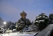 雪景色（相模原麻溝公園）の拡大写真を表示