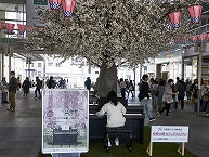 相模大野カジュアルピアノ（南区相模大野）の拡大写真を表示