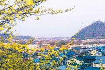 中野山から見える眺望の拡大写真を表示