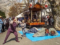 市民桜まつりの拡大写真を表示