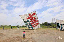 大凧、あがらないかなァ（2025年5月撮影分）の拡大写真を表示