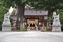 夏越大祓式 茅の輪くぐり(亀が池八幡宮)(2024年6月撮影分)の拡大写真を表示