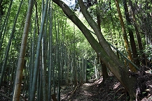 津久井中野風景の拡大写真を表示
