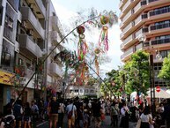 橋本七夕まつり(2023年8月撮影分)の拡大写真を表示