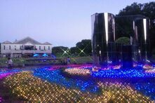 真夏の夜のファンタジア(県立相模原公園)(2023年8月撮影分)の拡大写真を表示