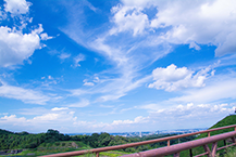城山湖から見上げた夏空(2024年8月撮影分)の拡大写真を表示