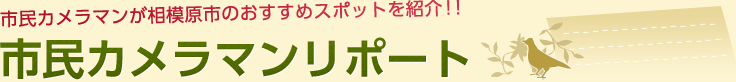 市民カメラマンリポート 市民カメラマンが相模原市のおすすめスポットを紹介!!