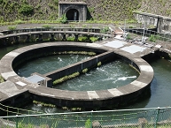 写真:下九沢分水池(円筒分水)を訪ねて(小俣勝美さん)