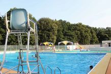 写真:木々が広がる開放的なプール(関戸正樹さん)