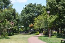 写真:相模大野中央公園で憩いのひととき(稲葉久通さん)