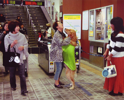 「感激の再会」平井 正友(神奈川県)