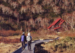 「晩秋」高橋 三郎(相模原市)