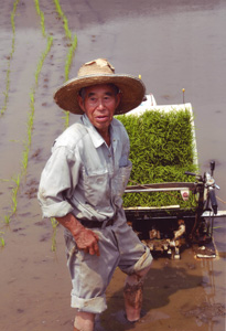 「田植」保屋野 厚(東京都)