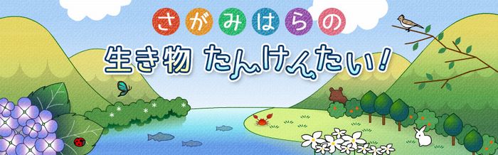 さがみはらの生き物たんけんたい!