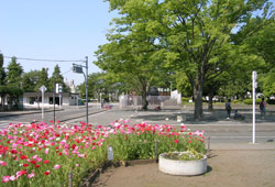 鹿沼(かぬま)公園の写真