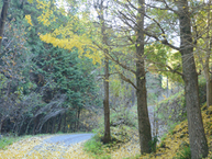 写真:美女谷と七つ淵