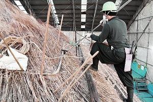 針を刺している様子