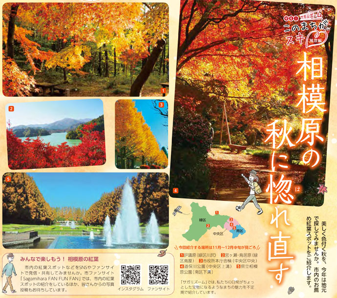広報さがみはら令和2年(2020年)11月15日号 1面 相模原の秋の写真
