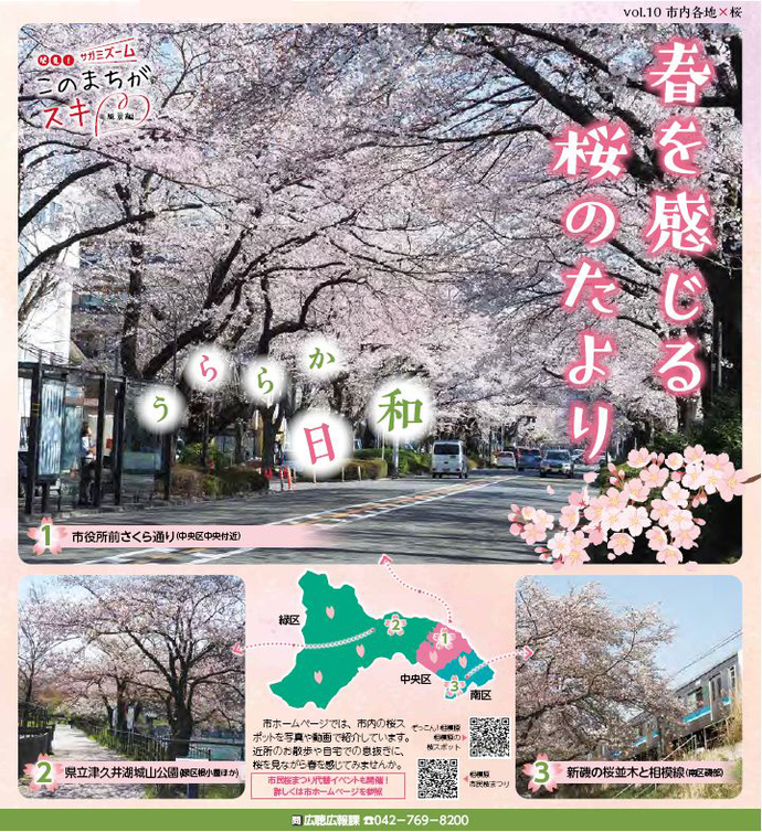 広報さがみはら令和4年(2022年)4月1日号 1面 vol.10 市内各地×桜