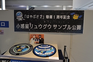 サンプル公開写真